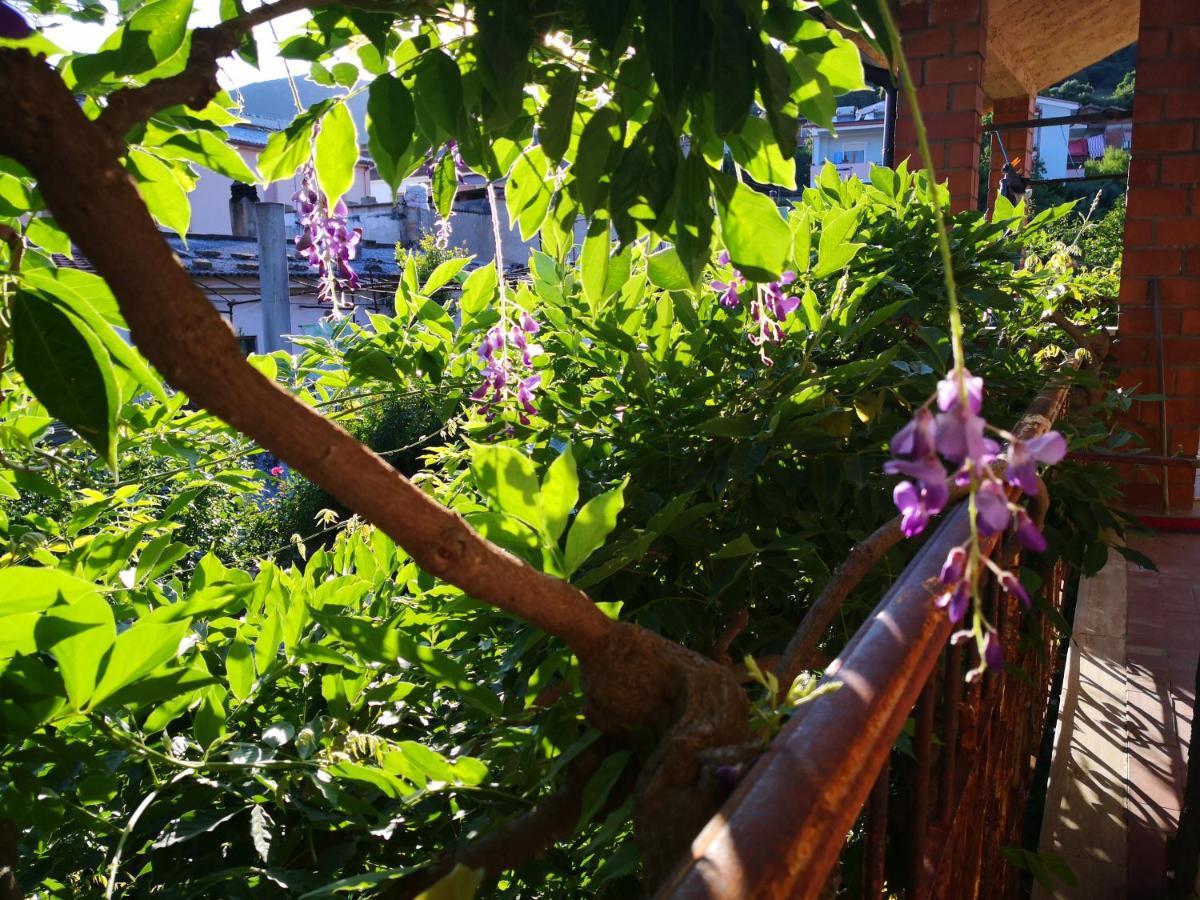 Zia Chiarina Bed & Breakfast San Nicolo Gerrei Екстериор снимка