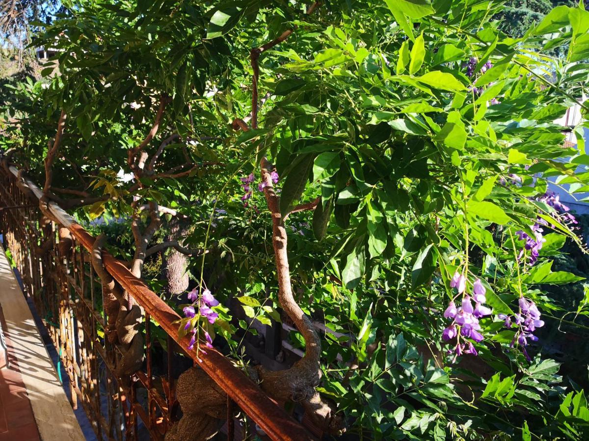 Zia Chiarina Bed & Breakfast San Nicolo Gerrei Екстериор снимка
