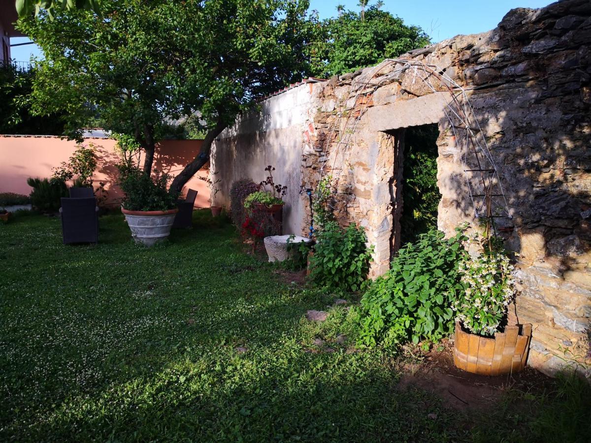 Zia Chiarina Bed & Breakfast San Nicolo Gerrei Екстериор снимка