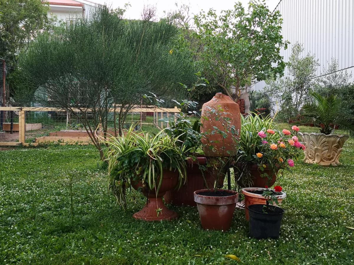 Zia Chiarina Bed & Breakfast San Nicolo Gerrei Екстериор снимка