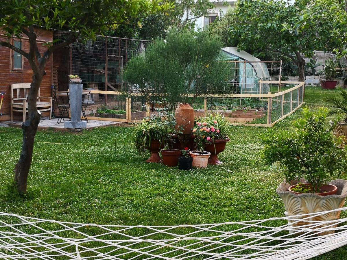 Zia Chiarina Bed & Breakfast San Nicolo Gerrei Екстериор снимка