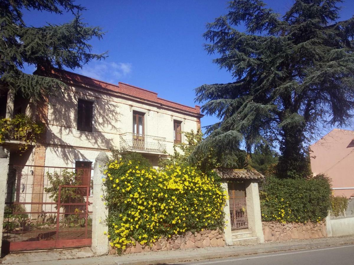 Zia Chiarina Bed & Breakfast San Nicolo Gerrei Екстериор снимка