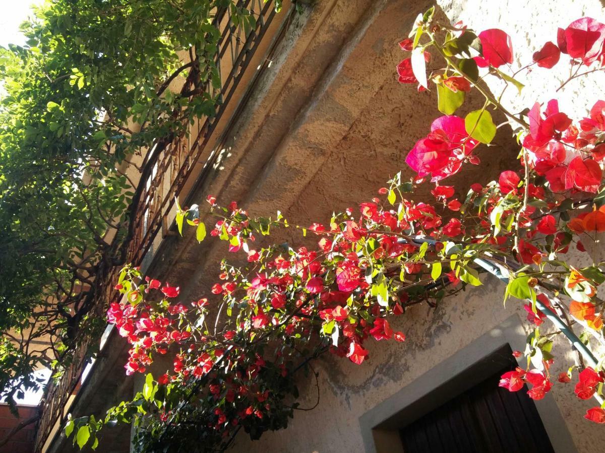 Zia Chiarina Bed & Breakfast San Nicolo Gerrei Екстериор снимка