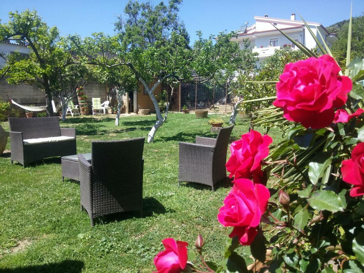 Zia Chiarina Bed & Breakfast San Nicolo Gerrei Екстериор снимка
