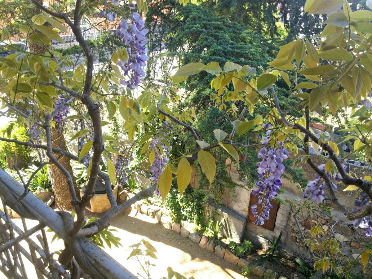 Zia Chiarina Bed & Breakfast San Nicolo Gerrei Екстериор снимка