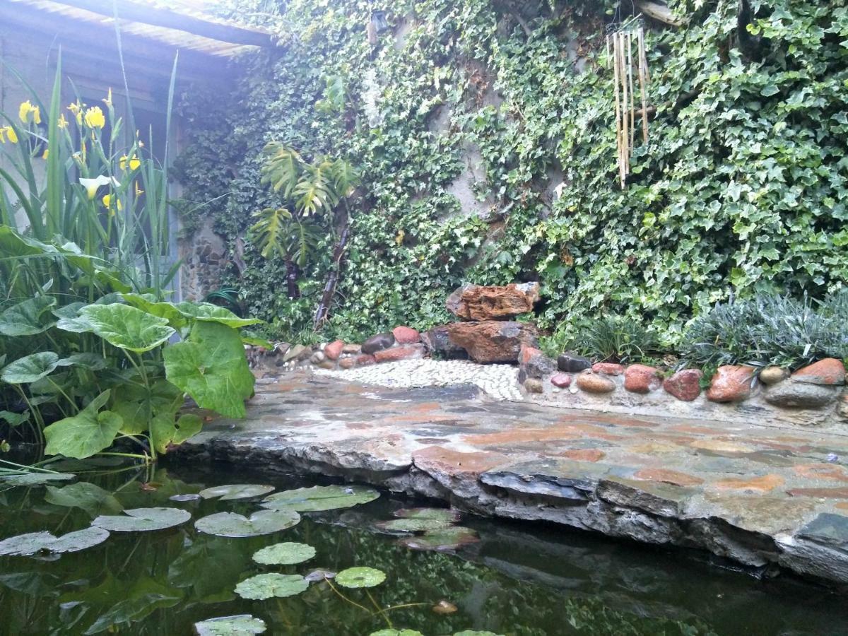 Zia Chiarina Bed & Breakfast San Nicolo Gerrei Екстериор снимка