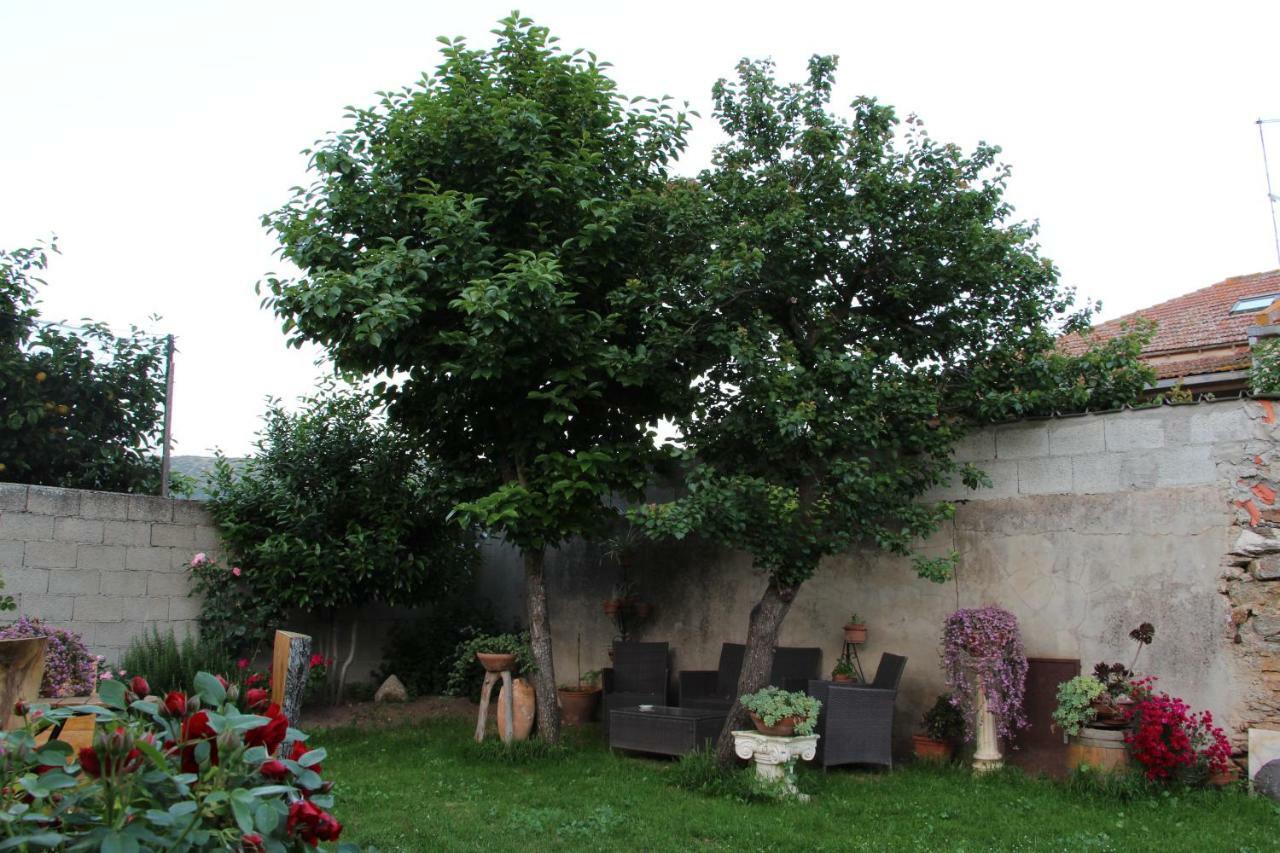 Zia Chiarina Bed & Breakfast San Nicolo Gerrei Екстериор снимка