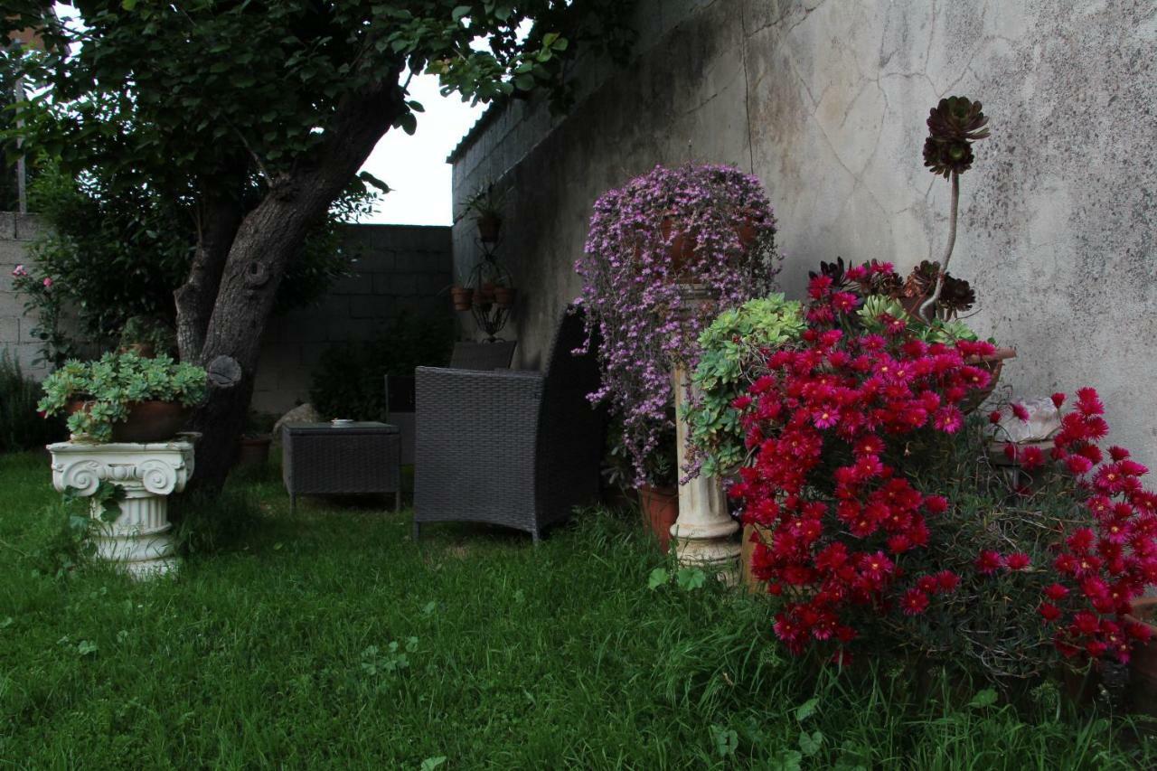 Zia Chiarina Bed & Breakfast San Nicolo Gerrei Екстериор снимка